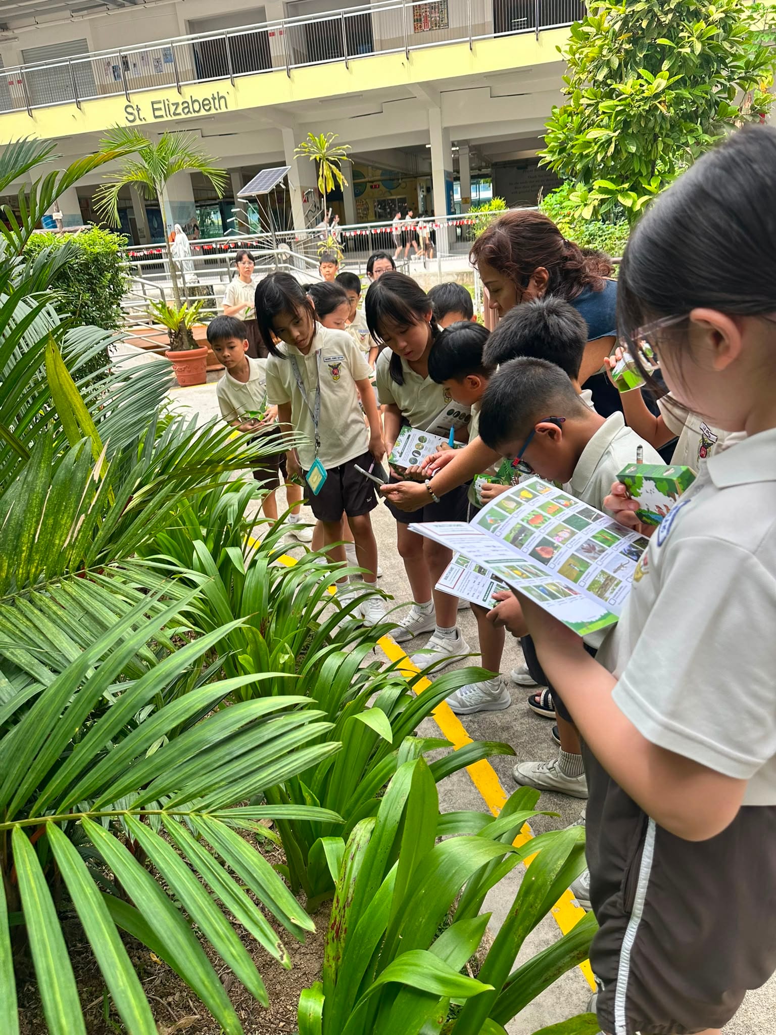 Students explore the wonders of nature through observation